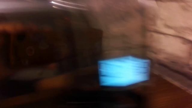 Обзор тостера Kitfort KT-2036-1. Подарок от бабушки) #Kitfort #Китфорт #жаримтостысКитфорт #тостер смотреть онлайн