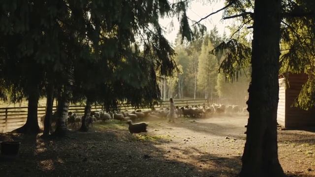 Алени (олени) и подкаблучники мужчины смотреть онлайн