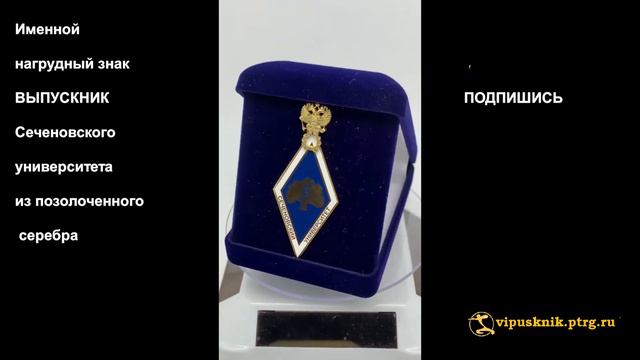 №1566 Именной нагрудный знак ВЫПУСКНИК Сеченовского университета из позолоченного серебра смотреть онлайн