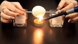 ОПЫТЫ СО СВЕТОМ  •ФИЗИКА•  THE TAYA + ЯНА