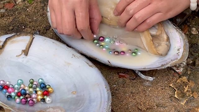 It's amazing, pearl oysters were caught in the lake, and a lot of colorful pearls were harvested смотреть онлайн