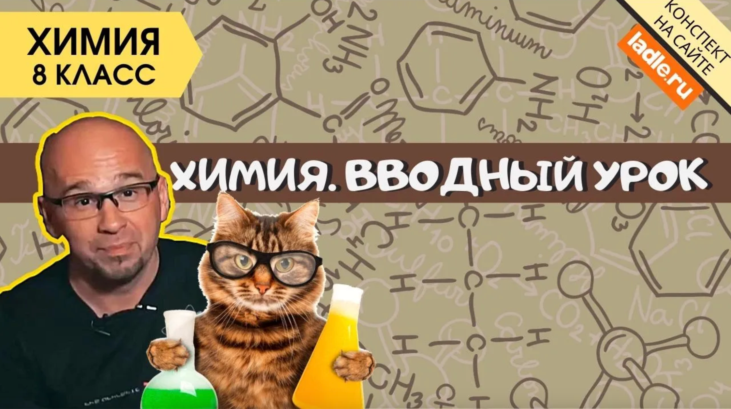 Введение в химию. Химия 8 класс. Когда появилась наука о веществах? Тело, неорганические вещества