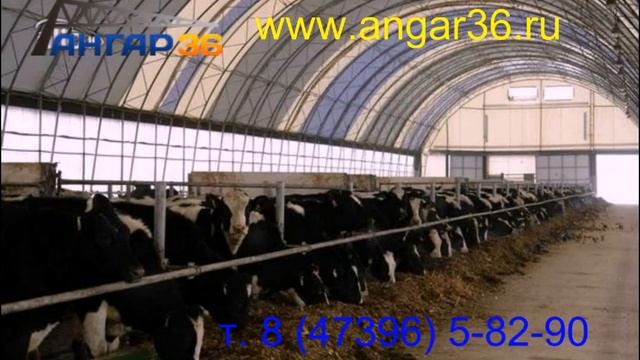 коровники. т. 8(47396)5-82-90 смотреть онлайн