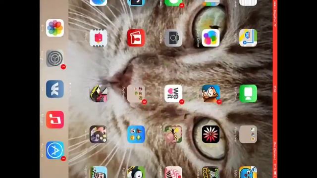 Как снимать видео с экрана Ipad без JailBreak(работает у всех) смотреть онлайн
