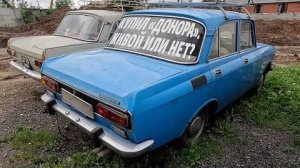 Купил  донора. Посмотрим живой он или нет.