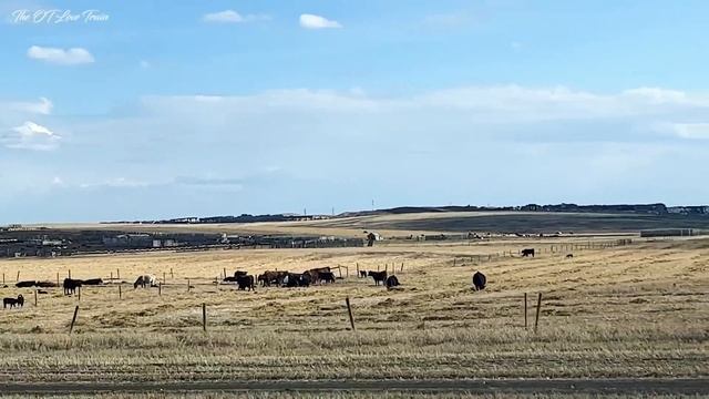 PROS & CONS OF LIVING IN ALBERTA! Worth It? Should You Move Here? Ft GVM | 2022 | The OT Love Train смотреть онлайн