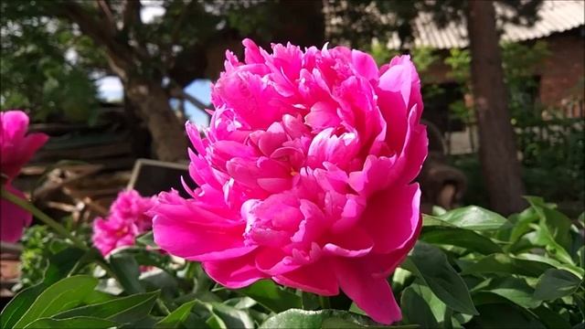 Техника проведения экскурсии смотреть онлайн