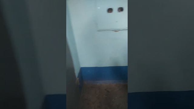 Лифт BTL 2019-2020-2021 г.в и домофон МЕТАКОМ МК2003.1 дом индивидуальной серии смотреть онлайн