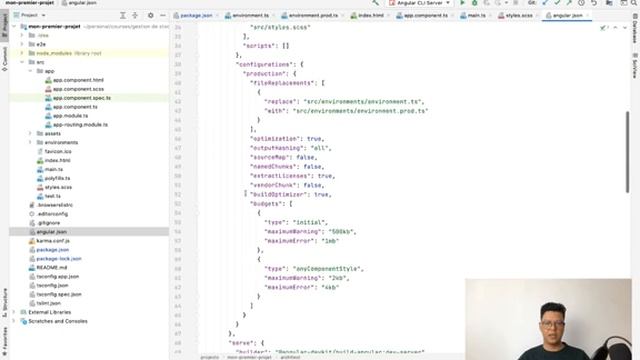 Projet Spring boot & Angular | Gestion de stock | Partie 2 - Introduction a angular смотреть онлайн
