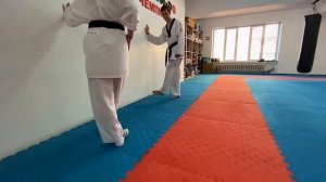 ТХЭКВОНДО - МАХИ НОГАМИ