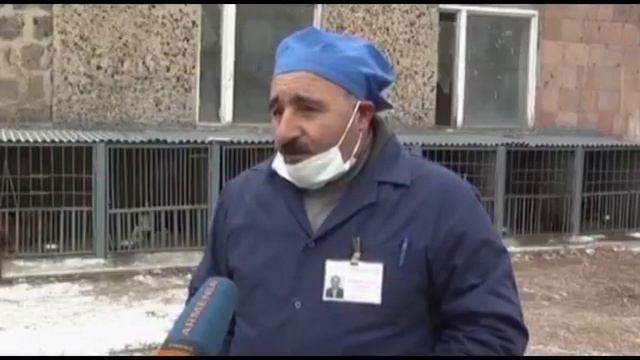 Заказ выполнен крайне непрофессионально !!! смотреть онлайн