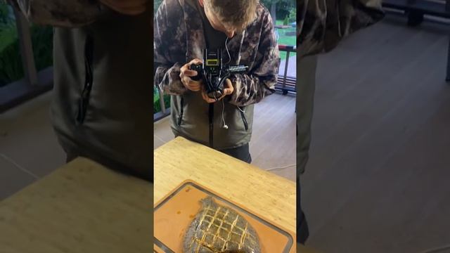 Рыба камбала на гриле Weber smokefire смотреть онлайн