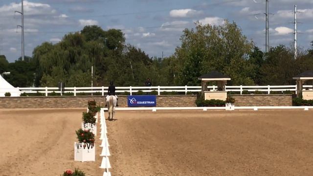 Madison Waller and Diablo DC смотреть онлайн