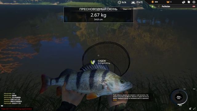 Professional Fishing #6 - Новые удочка и катушка. Изменилась система износа смотреть онлайн