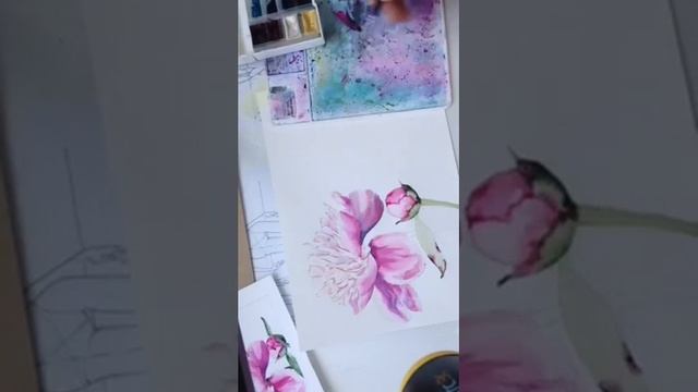 Акварельные уроки. Пионы и велосипед смотреть онлайн