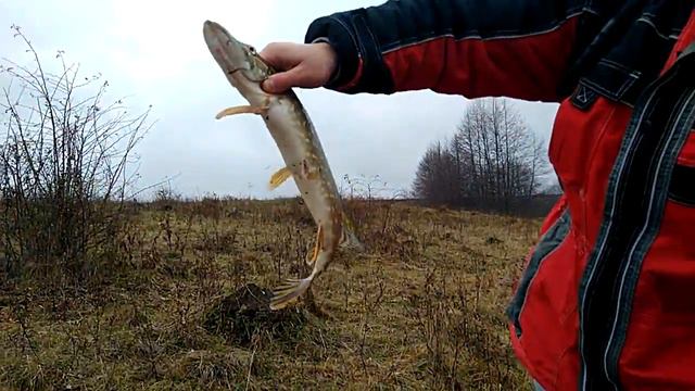 Копия Duo realis от A+ fishing lures shop online(bearking) смотреть онлайн