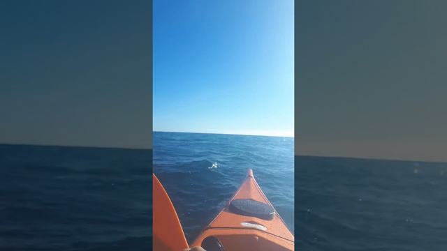 kayak tribord decathlon RK 500 смотреть онлайн