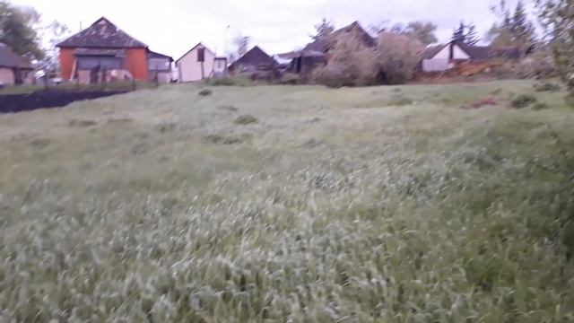 Чернава, луг смотреть онлайн