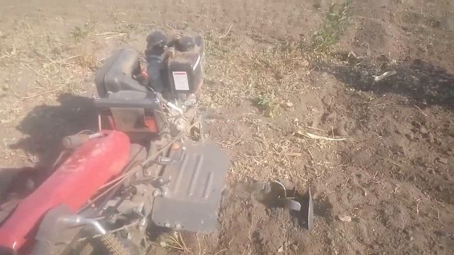 Удаление поросли с помощью мотоблока, на пониженной передачи. смотреть онлайн