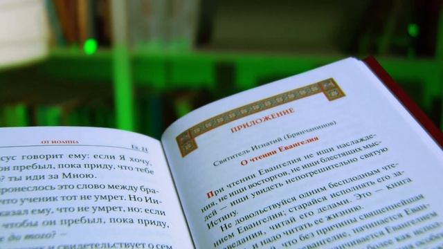 Святое Евангелие с приложением. Обзор книги смотреть онлайн