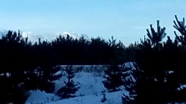 Лиса без хвоста часть 2 смотреть онлайн