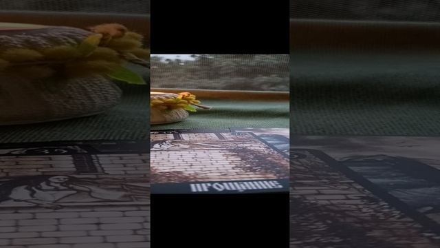 ВАМ ПОСЛАНИЕ ОТ ВЫСШИХ СИЛ!