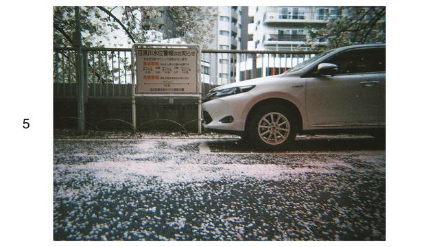 【KODAK M35】「写ルンです」の次に買うフィルムカメラ / Kodak ULTRA MAX 400 / フィルム写真 / 作例 смотреть онлайн