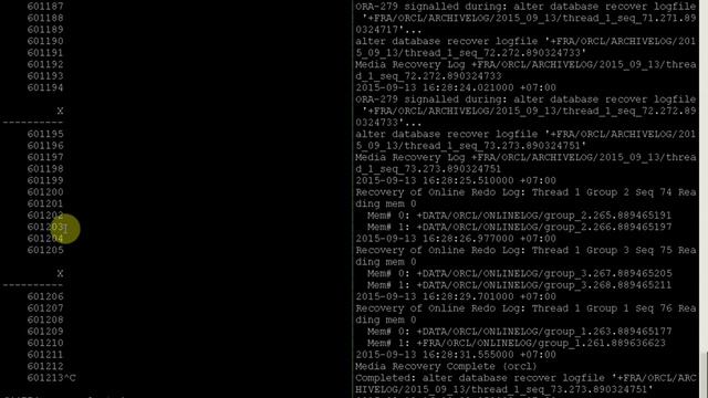 [Oracle 12C] - OCP 12C Backup Strategies and Terminology phan2 less5 | Học lập trình смотреть онлайн