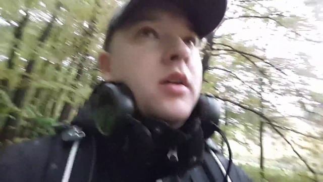 Заблудился в лесу и прогулялся под дождем) смотреть онлайн