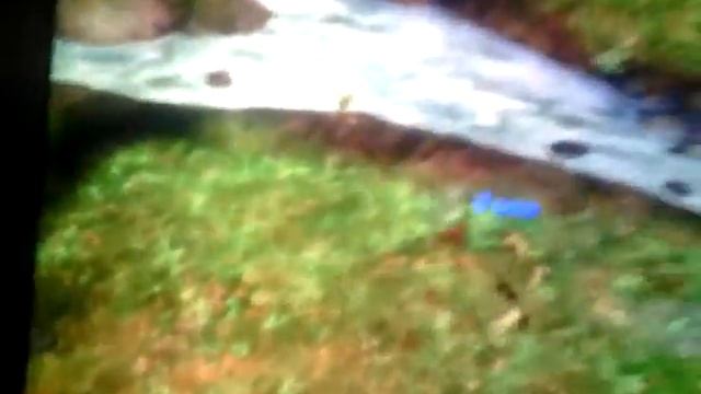 Обзор игры Dino Hunter смотреть онлайн