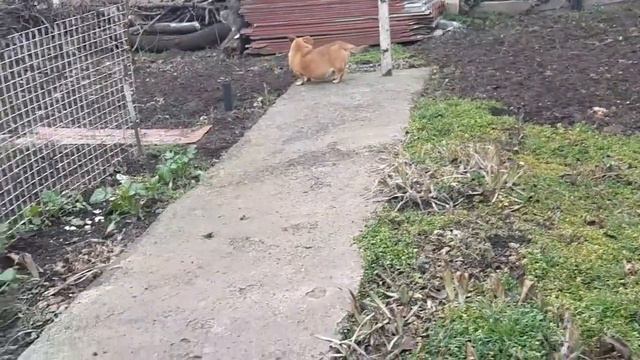 Пригласила в гости детей и внучку. смотреть онлайн