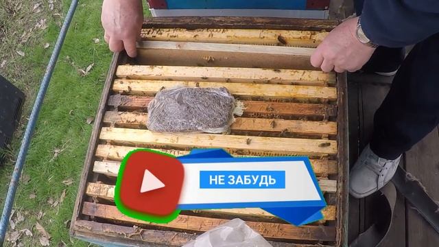 Пчелы весной Уход за пчелами весной А пчел нет смотреть онлайн