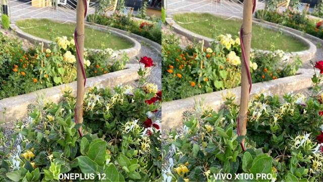 OnePlus 12 VS Vivo X100 Pro Camera Comparison | OnePlus 12
