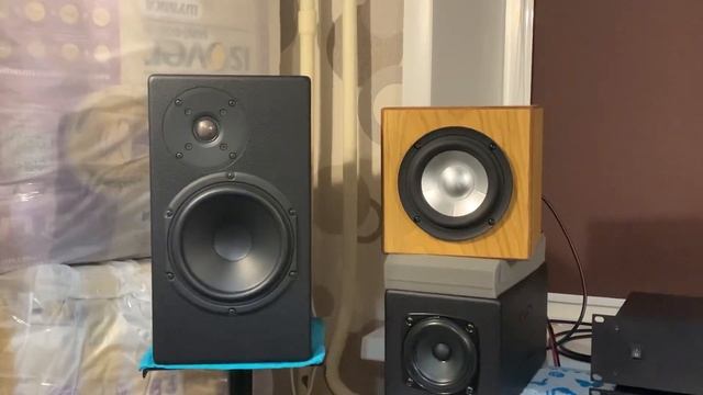 N-Monitors X600 + N-Amp 1