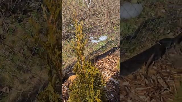 Начало первого дачного сезона смотреть онлайн