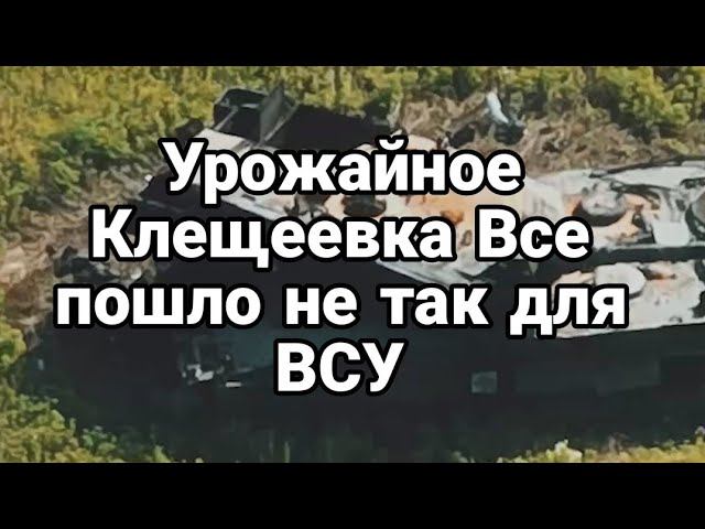 УР0ЖАЙНОЕ КЛЕЩЕЕВКА ВСЕ П0ШЛ0 не так для ВСУ