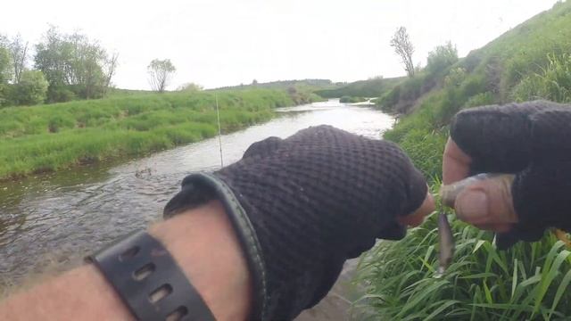 Первый ГОЛАВЛЬ сезона! Рыбалка на СПИННИНГ весной! Малые реки Московской обл! смотреть онлайн