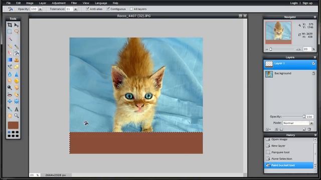 Watermarking Your Images using Pixlr Free Online Graphics Editor смотреть онлайн