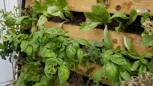 Интересные идеи поделок для дачи сада и дома из дерева своими руками смотреть онлайн