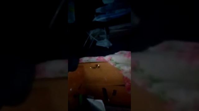 Игра со страхом закрытая кровать смотреть онлайн