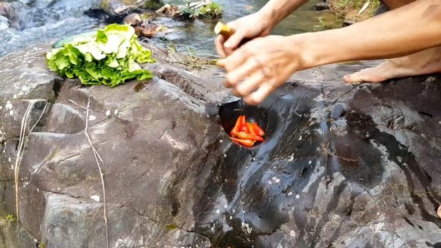 survival in the rainforest find lots of egg duck & cook duck with coconut Eating delicious | Ep1 V смотреть онлайн