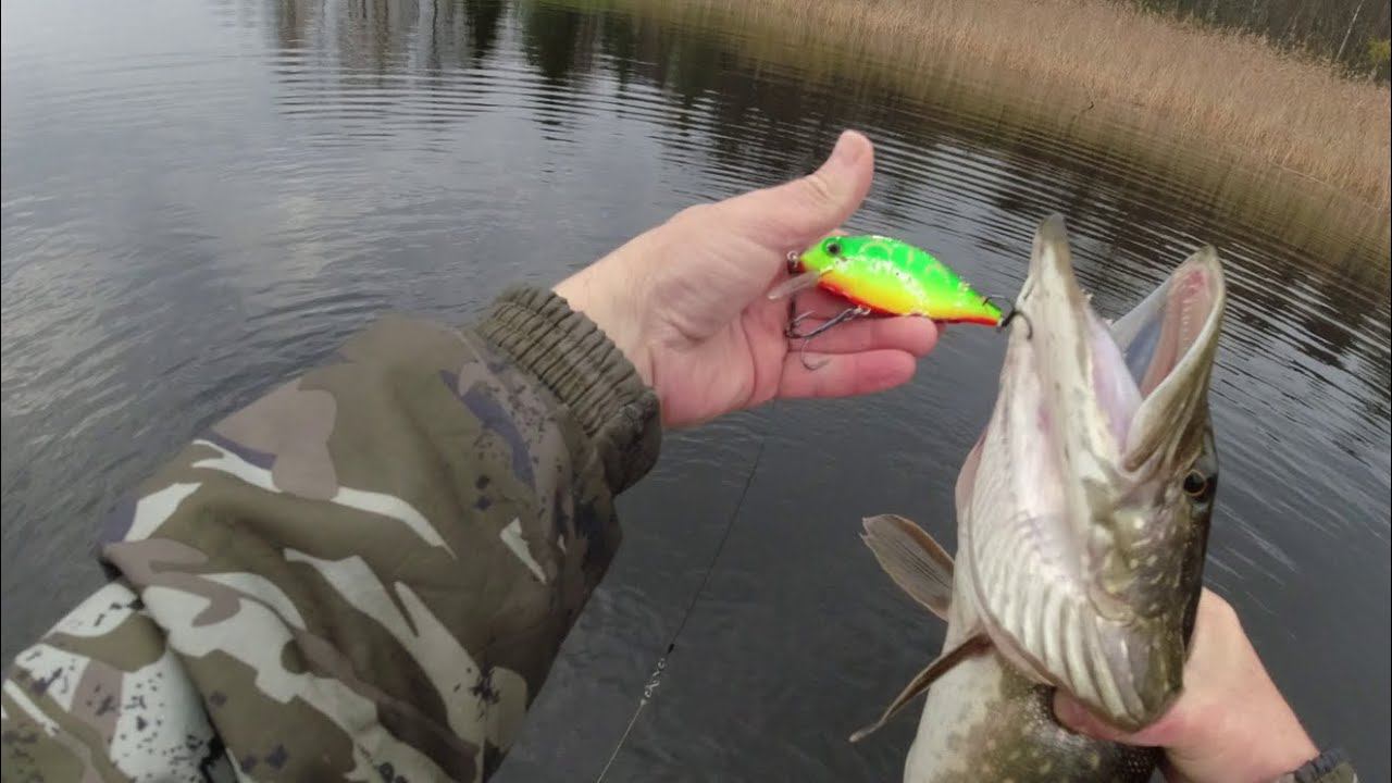 Лучшие копии на щуку. Косадака, Герман, Тсу Еки, Беркинг. смотреть онлайн