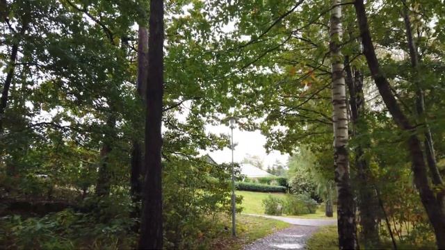 What books can I read to improve my frontend seniority? смотреть онлайн