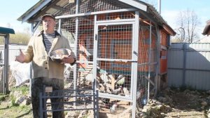 ЯИЧНАЯ СКОРЛУПА ДЛЯ КУР НЕСУШЕК !