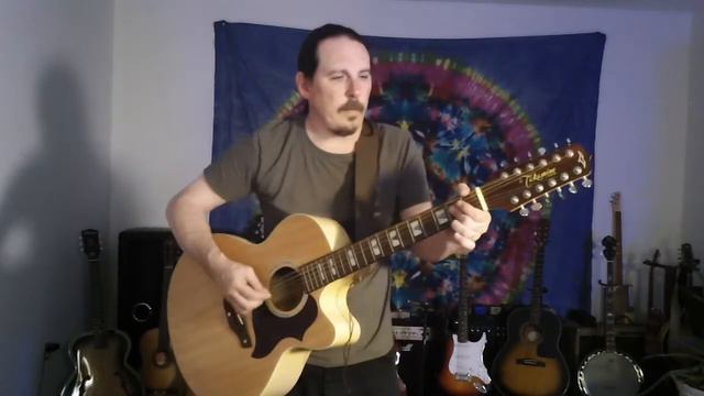 12 string guitar Alice in Chains Down in a hole cover by Chad Seymour 2022 смотреть онлайн