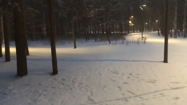 Лыжи. Питер. Сосновка. Как поставить ребёнка на лыжи смотреть онлайн