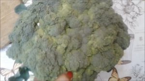 капуста брокколи Лорд!