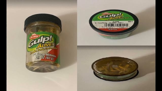 Berkley Gulp! Alive! Trout Bait Smelt Formula Review Does It Work!!! смотреть онлайн