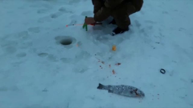 Рыбацкий кордон 18.01.2022 смотреть онлайн