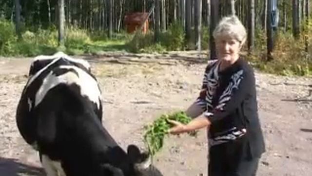 13 кордон смотреть онлайн